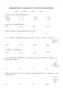 安徽省合肥市第四十六中学南校区2023-2024学年九年级(上)期末数学试题[原题+解析]