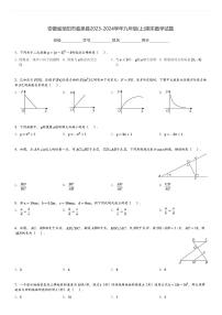 安徽省阜阳市临泉县2023-2024学年九年级(上)期末数学试题[原题+解析]