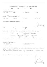 安徽省合肥市部分学校2023-2024学年八年级(上)期末数学试题[原题+解析]