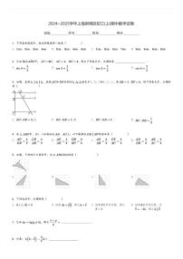 2024～2025学年上海崇明区初三(上)期中数学试卷[原题+解析]