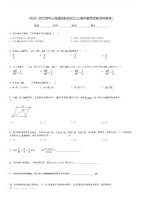 2024～2025学年上海浦东新区初三(上)期中数学试卷(多校联考)[原题+解析]