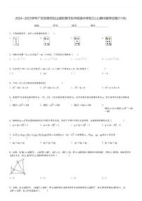 2024～2025学年广东东莞市松山湖东莞市东华初级中学初三(上)期中数学试卷(11月)[原题+解析]