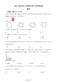 广东佛山南海实验中学2023-2024学年九年级上学期月考数学试题