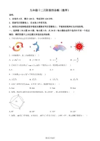 广东珠海八中2023-2024学年九年级上学期月考数学试题