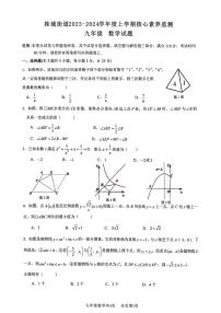 2023-2024学年广东省佛山市南海区桂城街道九年级（上）核心素养数学试卷
