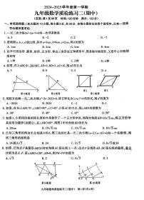 广东省茂名市茂南区直属学校2024-2025学年上学期九年级数学期中考试试卷