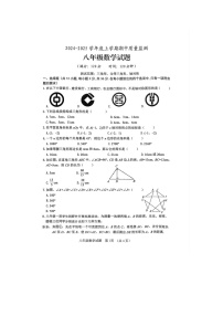 山东省日照市岚山区2024-2025学年八年级上学期11月期中数学试题