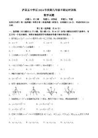 四川省泸州市泸县五中学区2024-2025学年九年级上学期11月期中联考数学试题