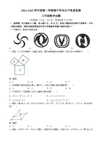 江苏省连云港市赣榆区2024-2025学年八年级上学期期中考试数学试卷(无答案)