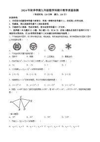 广西防城港市2024—2025学年上学期九年级数学期中检测试卷(无答案)