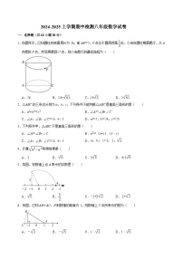 广东省清远市连南县2024-2025学年上学期期中检测八年级数学试卷