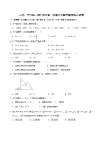 安徽省安庆市石化第一中学2024-2025学年八年级上学期11月期中数学试题