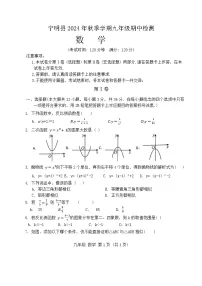 广西崇左市宁明县2024-2025学年九年级上学期11月期中数学试题