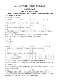 山东省菏泽市郓城县2024-2025学年上学期期中学业水平测试 九年级数学试题(无答案)