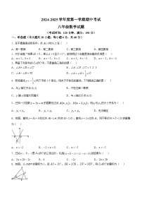 安徽省亳州市2024—2025学年上学期八年级数学期中测试卷(无答案)