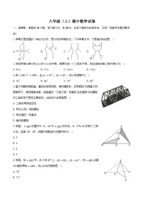 广东省珠海市五校联考2024-2025学年八年级上学期期中数学试卷