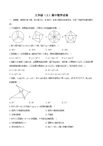 广东省中山市八校联考2024-2025学年九年级上学期期中数学试卷