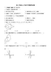 九年级上学期第二次月考数学试题 (21)