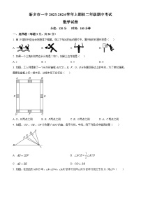 解析：河南省新乡市红旗区新乡市第一中学2023-2024学年八年级上学期期中数学试题（原卷版）