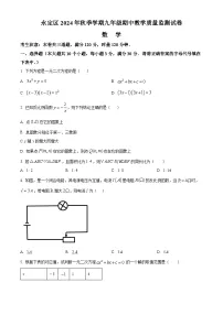 湖南省张家界市永定区2024-2025学年九年级上学期期中考试数学试题（原卷版）