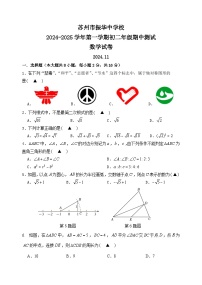 江苏省苏州市振华中学2024-2025学年初二上学期期中数学试卷