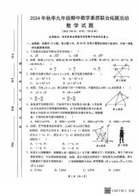 福建省泉州市泉港区2024-2025学年九年级上学期11月期中考试数学试题