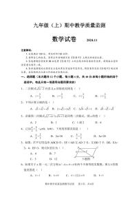 四川省眉山市洪雅县2024-2025学年九年级上学期期中数学试题