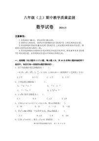 四川省眉山市洪雅县2024-2025学年八年级上学期期中数学试题