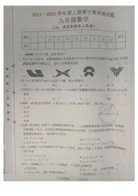 河南省驻马店市汝南县2024-2025学年九年级上学期11月期中考试数学试题