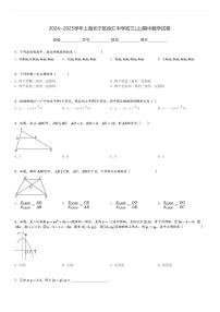 2024～2025学年上海长宁区徐汇中学初三(上)期中数学试卷[原题+解析]