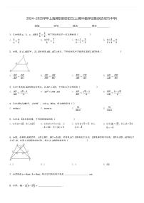 2024～2025学年上海浦东新区初三(上)期中数学试卷(民办欣竹中学)[原题+解析]