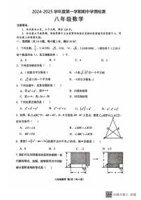 河南省周口市商水县2024-2025学年上学期八年级数学期中测试卷