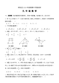 河南省南阳市桐柏县2024-2025学年九年级上学期11月期中考试数学试题