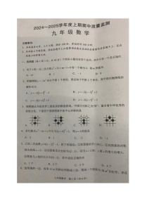 河南省周口市川汇区2024-2025学年九年级上期期中质量监测数学试题