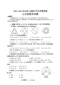 河南省信阳市息县2024-2025学年九年级上学期11月期中考试数学试题