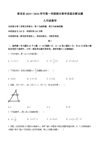 河北省秦皇岛市青龙满族自治县2023-2024学年九年级上学期期末数学试题