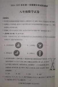 河南省洛阳市洛龙区2024-2025学年八年级上学期11月期中考试数学试题