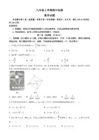 山东省泰安市新泰市2024—2025学年九年级上学期11月期中数学试题（含答案）