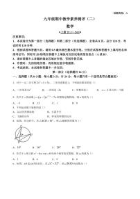 陕西省安康市旬阳县公馆初级中学2024～2025学年九年级上学期11月期中数学试题(含答案)