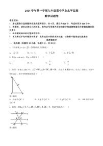 浙江省浙派联盟2024～2025学年九年级上学期期中考试数学试卷（含答案）