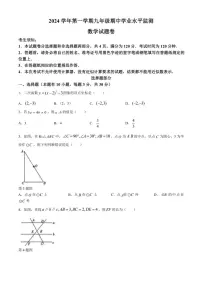 浙江省浙派联盟2024～2025学年九年级上学期期中考试数学试卷（含答案）