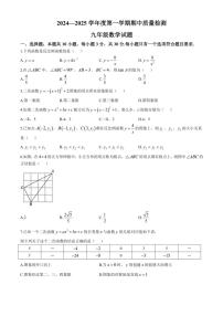 山东省济宁市任城区2024～2025学年上学期期中考试九年级数学试题（含答案）
