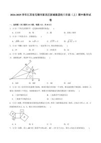 江苏省无锡市新吴区新城集团校2024—2025学年上学期八年级期中数学试卷（含答案）