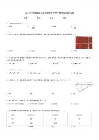 2024年河南省驻马店市新蔡县中考一模考试数学试题[原题+解析]