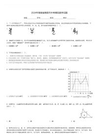 2024年湖南省衡阳市中考模拟数学试题[原题+解析]