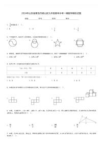 2024年山东省青岛市崂山区九年级联考中考一模数学模拟试题[原题+解析]