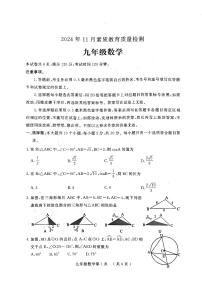 山东省菏泽市曹县2024-2025学年九年级上学期11月期中数学试题