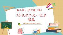 湘教版（2024）3.5 认识二元一次方程组优质教学ppt课件