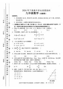 湖南省永州市蓝山县2024-2025学年九年级上学期11月期中考试数学试题