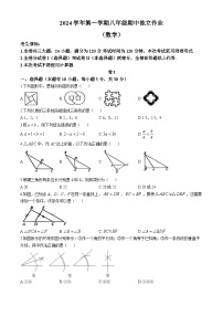 浙江省金华市东阳市2024-2025学年八年级上学期期中考试数学试卷(无答案)